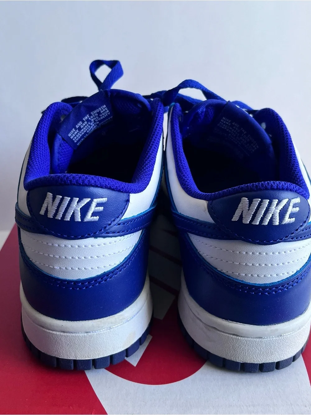 Royal Blue Nike Dunks Sneakers 6y